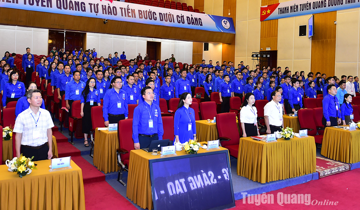 Khai mạc phiên thứ nhất Đại hội đại biểu Hội LHTN Việt Nam tỉnh lần thứ VI